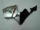 ABS Kits Carene CBR 600 RR 05-06 - Argento ABS Kits Carene CBR 600 RR 05-06 - Argento