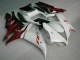 ABS Plastica & Carena R1 02-03 - Bianco