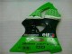 ABS Plastica & Carena ZX6R 00-02 - Verde Nero