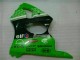 ABS Plastica & Carena ZX6R 00-02 - Verde Nero