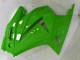 ABS Plastica & Carenatura EX250 08-12 - Verde Nero Ninja ABS Plastica & Carenatura EX250 08-12 - Verde Nero Ninja