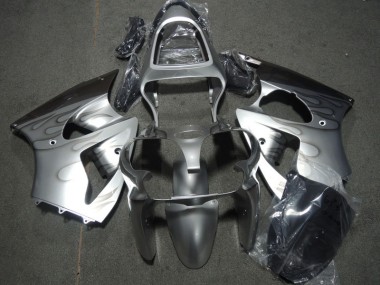 Carena ZX6R 00-02 - Argento Fiamma