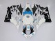 Carene CBR 600 RR 07-08 - Bianco Blu Nero