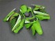 Carene EX250 08-12 - Verde Bianco Nero Ninja
