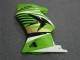 Carene EX250 08-12 - Verde Bianco Nero Ninja