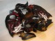 Carene GSXR 1300 Hayabusa 96-07 - Nero Rosso Fiamma