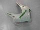 Carene & Plastica CBR 1000 RR 08-11 - Verde Bianco