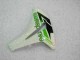 Carene & Plastica CBR 1000 RR 08-11 - Verde Bianco