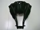 Carene ZX10R 11-15 - Lucido Nero
