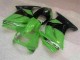 Carrozzeria & Carena EX250 08-12 - Verde Nero Carrozzeria & Carena EX250 08-12 - Verde Nero
