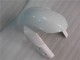 Carrozzeria & Carena GSXR 600 / 750 K6 06-07 - Bianco Argento Carrozzeria & Carena GSXR 600 / 750 K6 06-07 - Bianco Argento