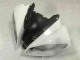 Kits Carene & Plastica R6 08-16 - Bianco Kits Carene & Plastica R6 08-16 - Bianco